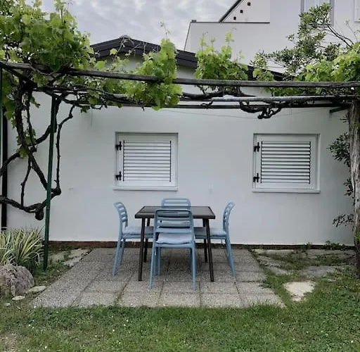 Sunny Grandma's Garden *