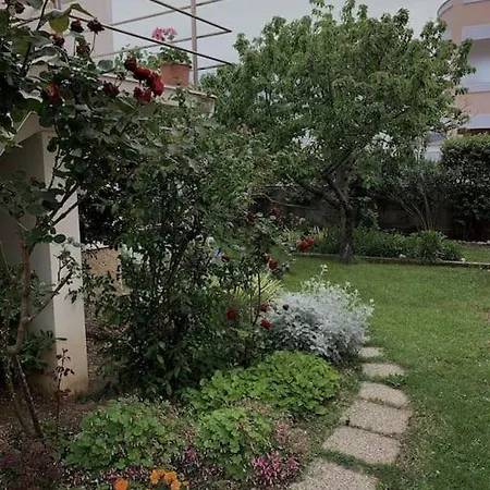 Sunny Grandma's Garden *