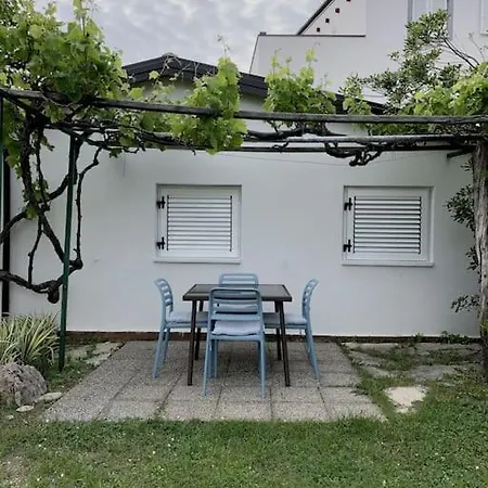 Sunny Grandma's Garden *