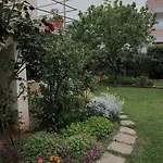 Sunny Grandma's Garden *