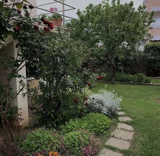 Sunny Grandma's Garden *