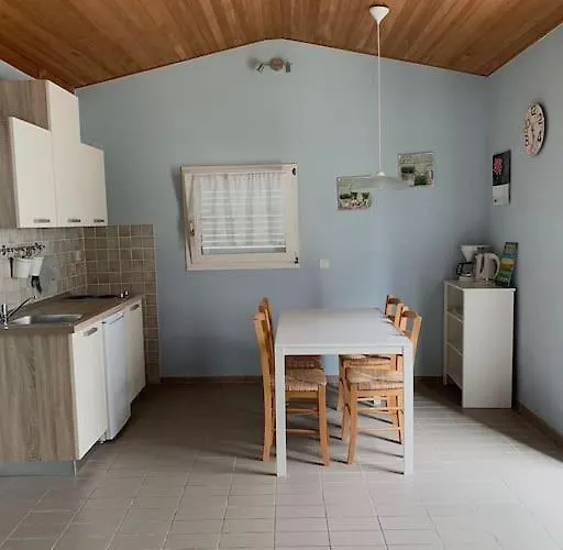 Sunny Grandma's Garden *